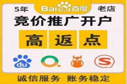 推广竞价实战经验：成功案例分享与启示